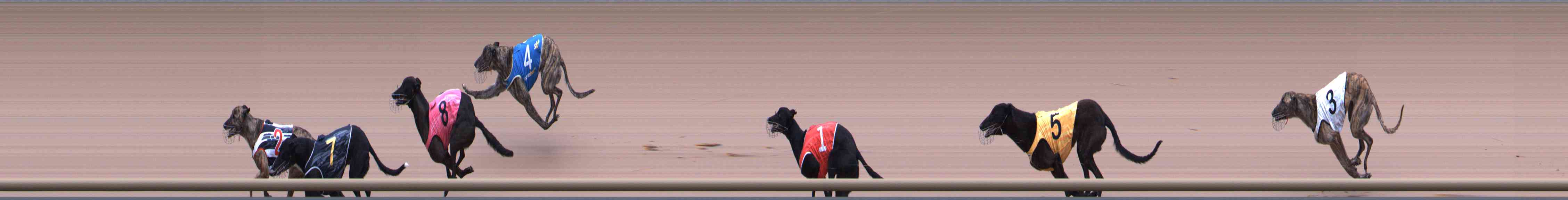 Race result finish photo